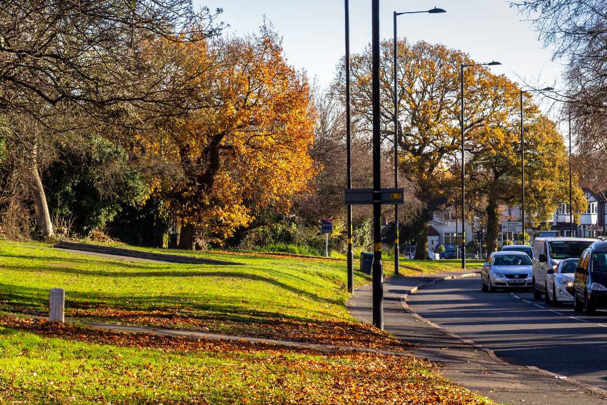 Autumn colours in Howard Road East.